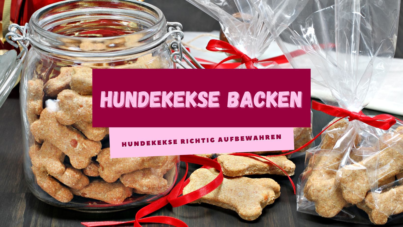 Ratgeberbild_Hundekekse richtig aufbewahren Ratgeberbild_Hundekekse richtig aufbewahren