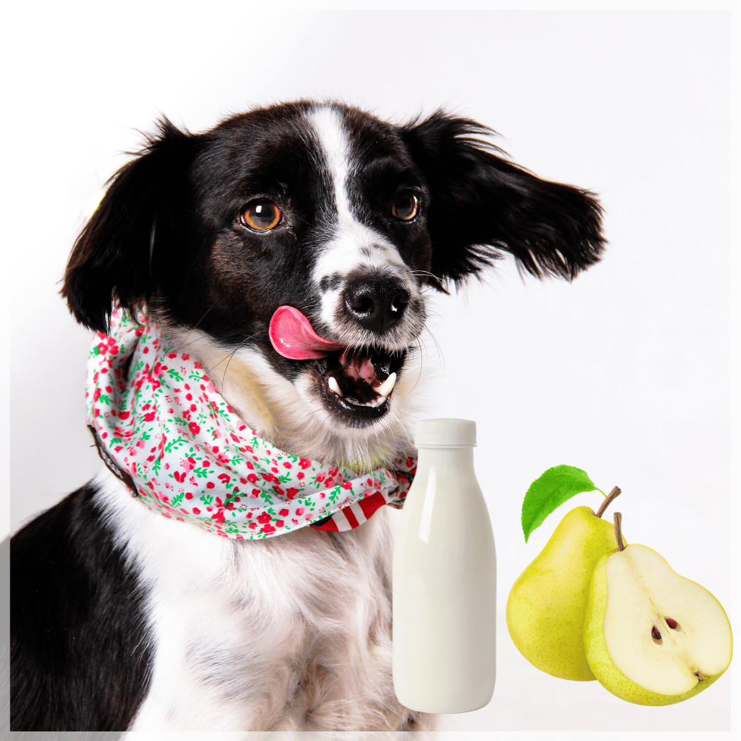 Schleckmatten Rezept - Birne und Kefir