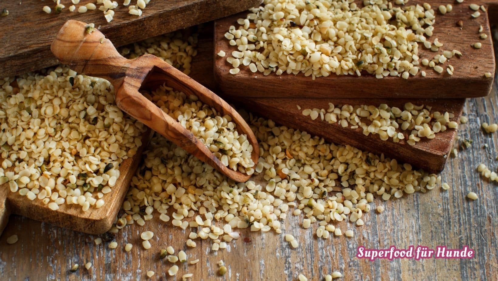 Superfood für Hunde -Hanfsamen Superfood für Hunde -Hanfsamen