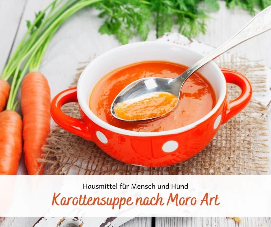 Karottensuppe nach Moro Art