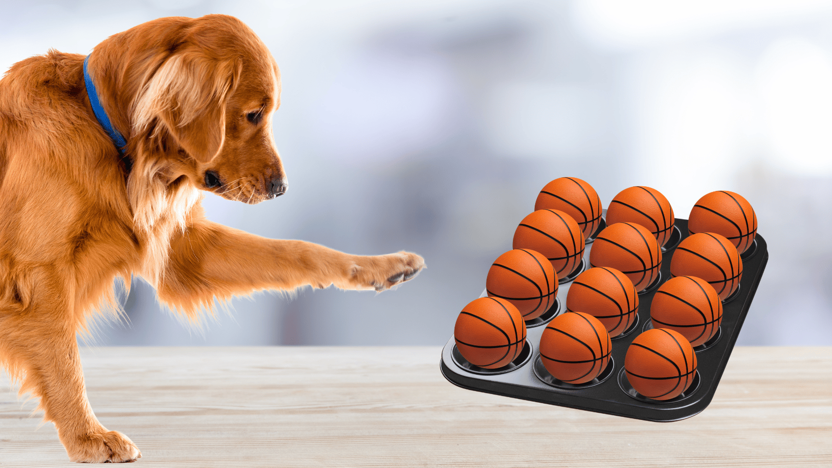 Spiel mit Bällen und Muffinblech
