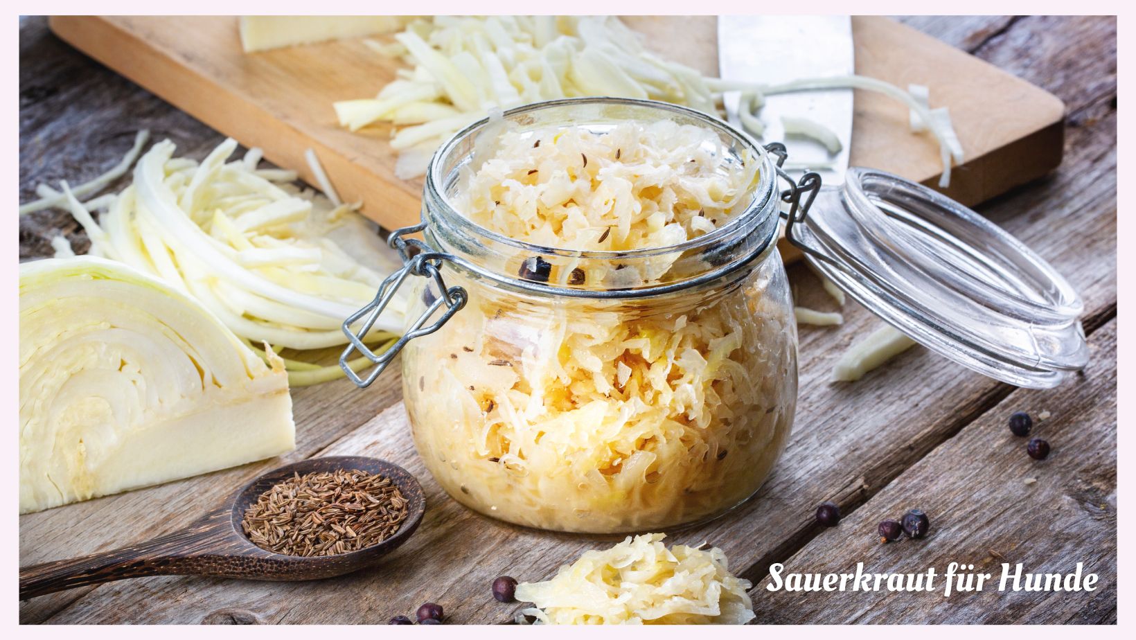 Sauerkraut für Hunde