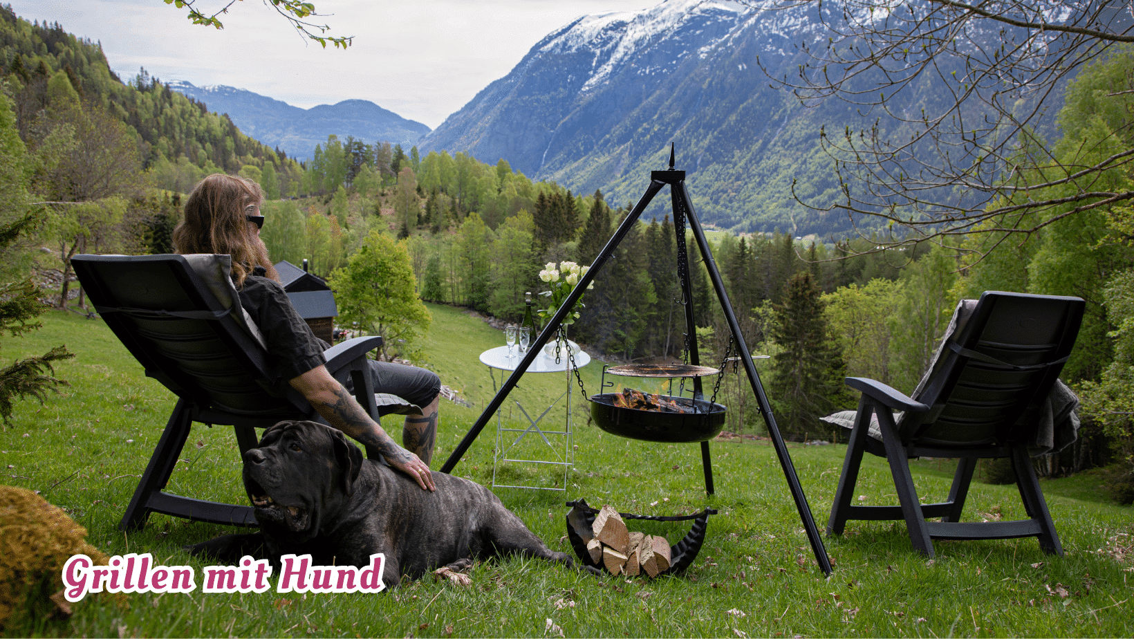 grillen mit hund - Blogartikel Foto grillen mit hund - Blogartikel Foto