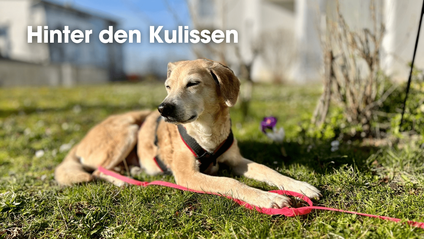 Hinter den Kulissen Hinter den Kulissen