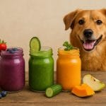 Hundesmoothies: Die unterschätzte Delikatesse für deinen Vierbeiner