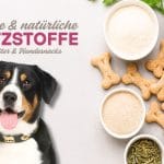 Zusatzstoffe in Hundefutter & Hundekeksen