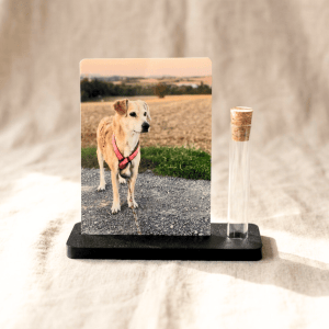 Haustier Andenken – Fotoaufsteller mit Erinnerungsglas in Wunschfarbe | Hund & Katze