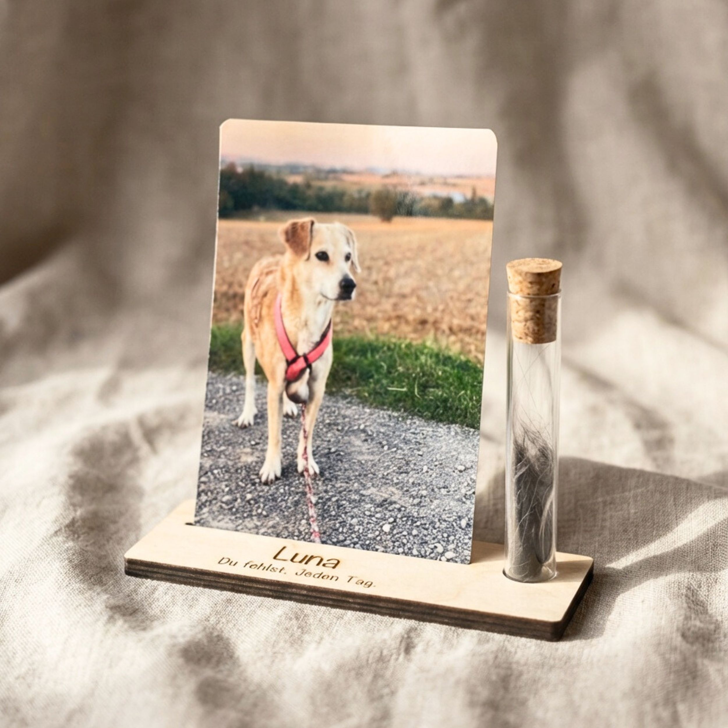 Personalisierter Holz Fotoaufsteller mit Erinnerungsglas – Andenken & Trauergeschenk für Hunde – Bild 11