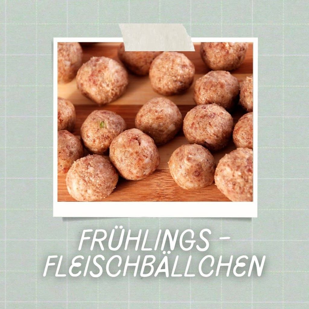 Hundesnack-Rezept: Frühlings – Fleischbällchen