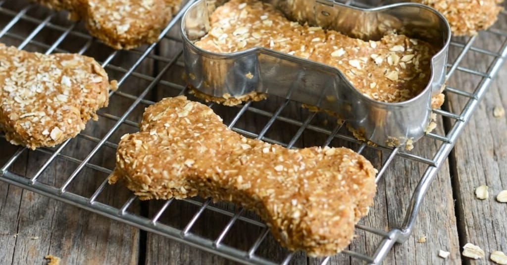 Hundekekse backen mit Haferflocken und Thunfisch