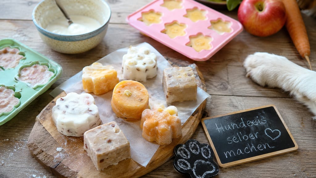 5 Hundeeis Rezepte für heiße Tage: einfache Ideen zum Selbermachen