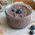 Hunde Smoothie Rezept mit Rindfleisch und Blaubeeren