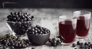 Aroniabeeren für Hunde: Gesunder Snack und Rezept für selbstgemachte Hundekekse