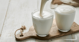 Dürfen Hunde Buttermilch trinken?