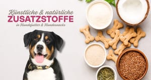 Zusatzstoffe in Hundefutter & Hundekeksen