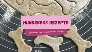 Grundrezept für Hundekekse