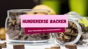 Knusprige Leckerlis für Hunde: Die besten Methoden zur Hundekeks-Trocknung