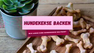 Wie lange sind selbst gebackene Hundekekse haltbar?