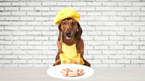 Hundeleberwurst – Rezept