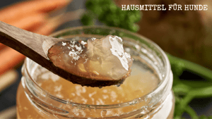Knochenbrühe für Hunde