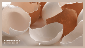 Hundekekse ohne Ei backen: Wie kann ich Eier im Hundekeks Teig ersetzen?