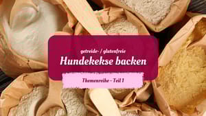 Hundekekse backen mit glutenfreien Mehlen – Der ultimative Guide