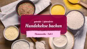 Hundekekse backen mit gluten- und getreidefreiem Mehl - Teil 3