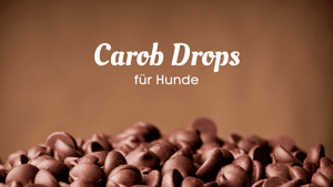 Rezept für Carob (Johannisbrot) Drops