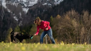 Hundetraining mit einem Futterdummy