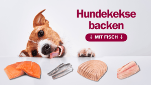 Hundekekse backen mit Fisch: Ein gesunder Snack für deinen Vierbeiner