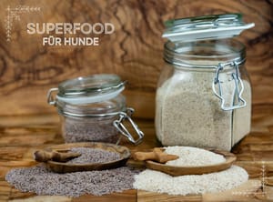 Flohsamen für Hunde - Klein, aber oho!