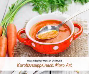 Hausmittel für Hund und Mensch: Karottensuppe nach Moro Art