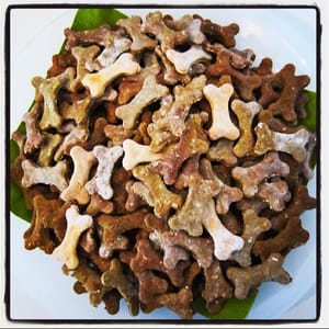 Hundeknochen mit Leber