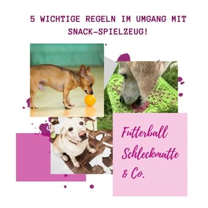 5 wichtige Regeln im Umgang mit Snack-Spielzeug