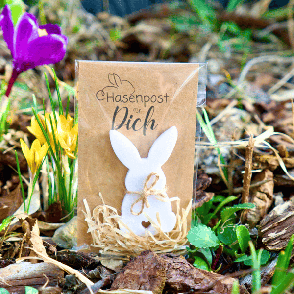 Ostergeschenk | Osterhase | Kleinigkeit zu Ostern | Mitbringsel | Glücksbringer | Osterkarte | Frohe Ostern | Hasenpost | Ostergrüße – Bild 12