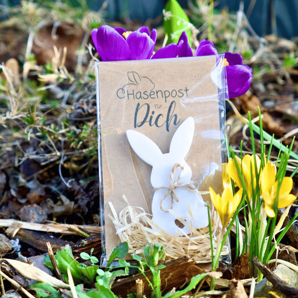 Ostergeschenk | Osterhase | Kleinigkeit zu Ostern | Mitbringsel | Glücksbringer | Osterkarte | Frohe Ostern | Hasenpost | Ostergrüße – Bild 8