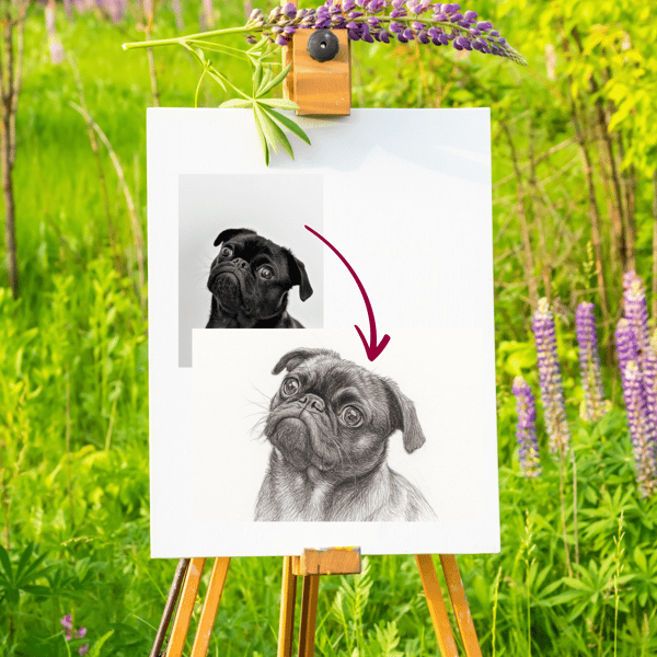 Dein Hund als Stift Zeichnung Kunstwerk [Digital] – Bild 7