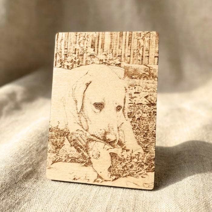 Hundeportrait auf Holz - Gravur