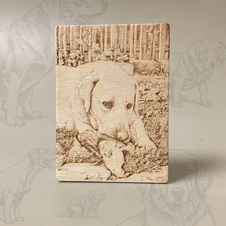 Hundeportrait im Stil Bleistiftzeichnung
