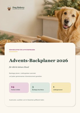 Cover des Advents-Backplaners